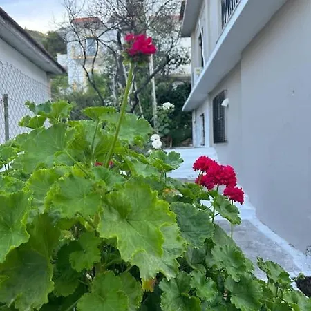 Olive Tree The Master Bed And Balcony Apartmán *