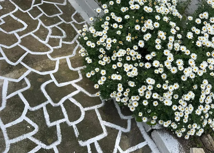 Olive Tree The Master Bed And Balcony Apartman Benícesz