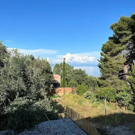 Olive Tree The Master Bed And Balcony