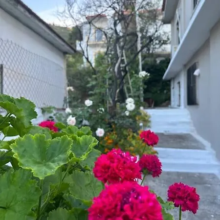 アパート Olive Tree The Master Bed And Balcony